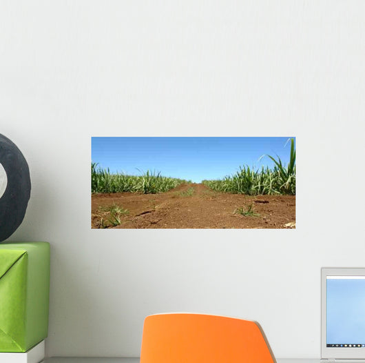 Chemin Wall Decal