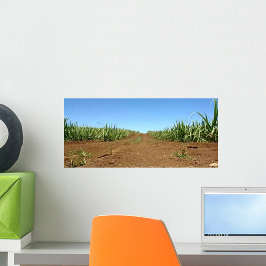 Chemin Wall Decal