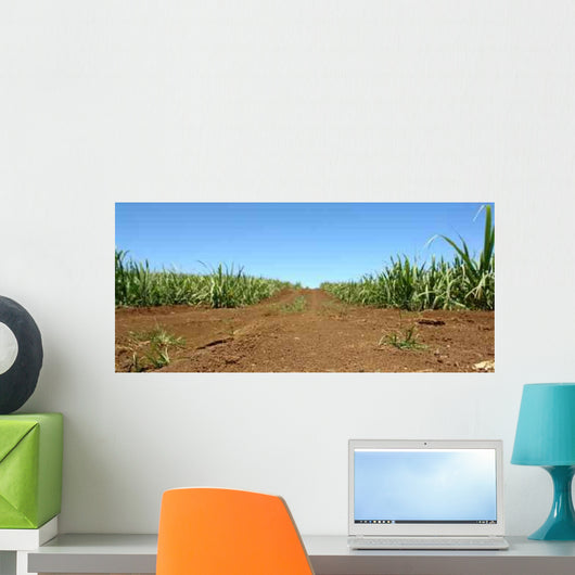 Chemin Wall Decal