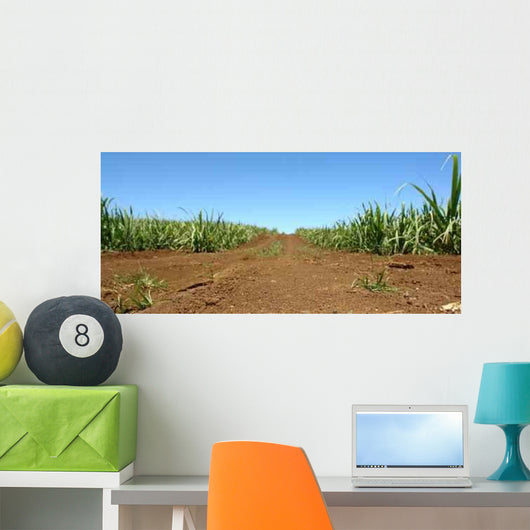Chemin Wall Decal