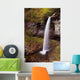Beautiful Waterfall Wall Decal