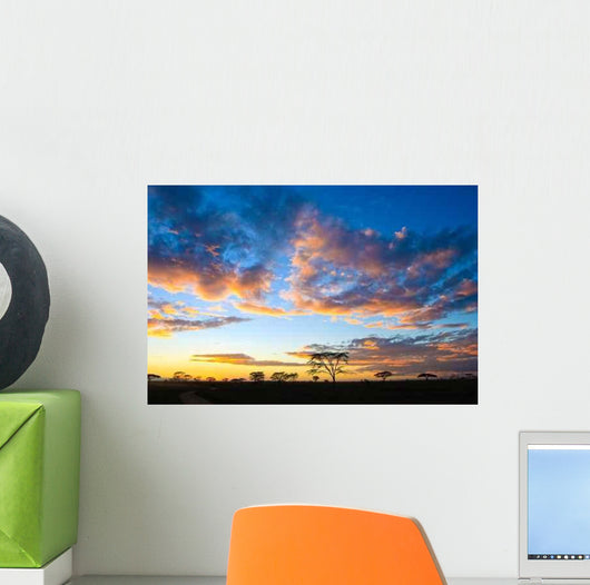 Sunset Serengeti Wall Decal