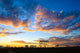 Sunset Serengeti Wall Decal