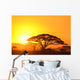 Sunset in the serengeti Wall Mural