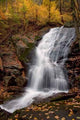 Forest Waterfall Wall Decal