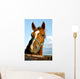 Closeup of the Head of a Horse Wall Mural