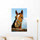 Closeup of the Head of a Horse Wall Mural