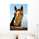 Closeup of the Head of a Horse Wall Mural