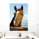 Closeup of the Head of a Horse Wall Mural