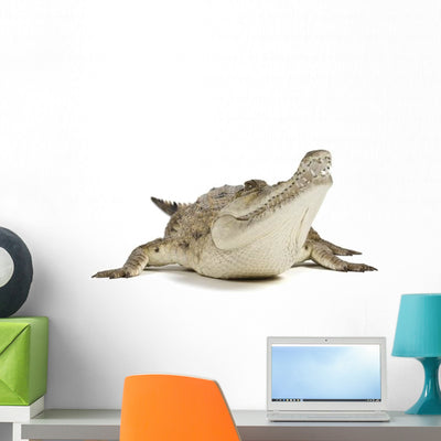 Fresh Water Crocodile Wall Decal shown on a wall