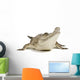 Fresh Water Crocodile Wall Decal