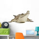 Fresh Water Crocodile Wall Decal