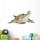 Fresh Water Crocodile Wall Decal