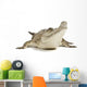 Fresh Water Crocodile Wall Decal