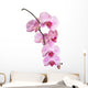 Orchid Wall Decal