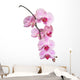 Orchid Wall Decal