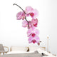 Orchid Wall Decal