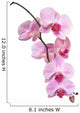 Orchid Wall Decal
