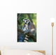 Lemur Monkey Wall Mural