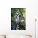 Lemur Monkey Wall Mural