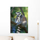 Lemur Monkey Wall Mural