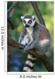 Lemur Monkey Wall Mural