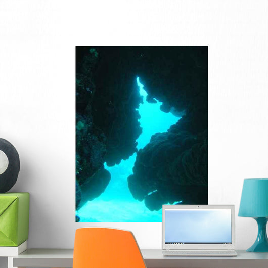 Cave Wall Decal