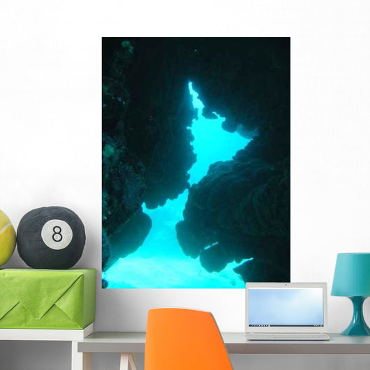 Cave Wall Decal