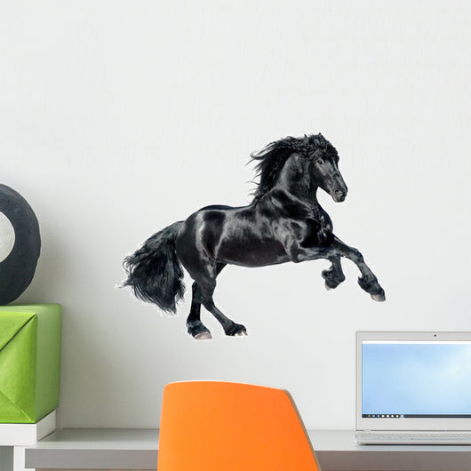 Black Frisian Horse Wall Decal