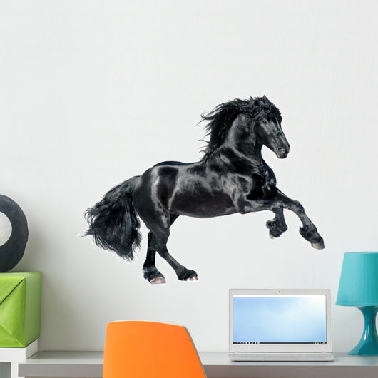 Black Frisian Horse Wall Decal