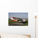 cessna Wall Mural