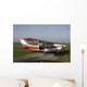 cessna Wall Mural
