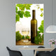 White wine and grapevine on white background Wall Mural