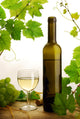 White wine and grapevine on white background Wall Mural