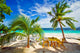 Dining in Paradise Wall Mural