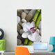 Orchid and bamboo Wall Mural