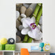 Orchid and bamboo Wall Mural