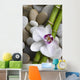 Orchid and bamboo Wall Mural