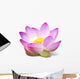 Lotus Wall Mural