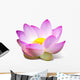 Lotus Wall Mural