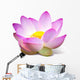 Lotus Wall Mural