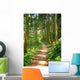 Trail Wall Decal Design 3