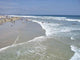 Newport Beach Wall Decal