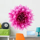 Peony flower Wall Decal
