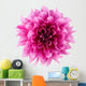 Peony flower Wall Decal