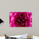 Peony flower Wall Mural