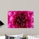 Peony flower Wall Mural