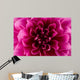 Peony flower Wall Mural