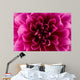 Peony flower Wall Mural