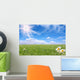 Bright Beautiful Daisy and Grass Field Wall Mural